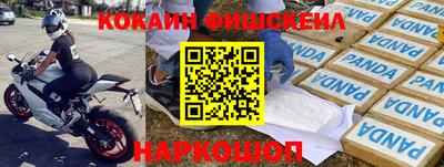 стаф Гатчина