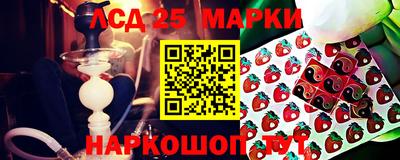 стаф Гатчина