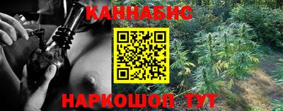 стаф Гатчина
