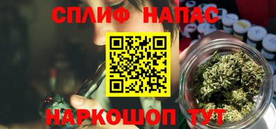 стаф Гатчина