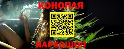 стаф Гатчина