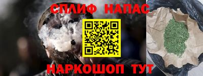 стаф Гатчина